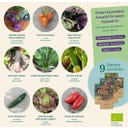 Magic Garden Seeds Warzywa Bio - zestaw nasion - 1 zestaw