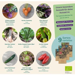 Magic Garden Seeds Warzywa Bio - zestaw nasion - 1 zestaw