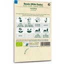 Samen Maier Organic Rocket 