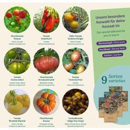Magic Garden Seeds Bunte Tomaten - Samenset - 1 Set