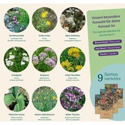 Magic Garden Seeds Alpine Pflanzen - Samenset - 1 Set