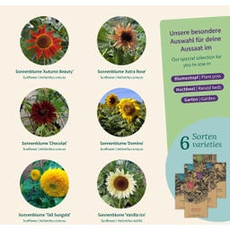 Magic Garden Seeds Seed Set - Sunflowers - 1 Set