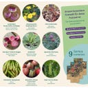 Magic Garden Seeds Gemüse-Raritäten - Samenset - 1 Set