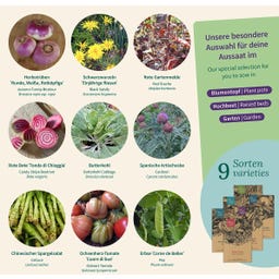 Magic Garden Seeds Gemüse-Raritäten - Samenset - 1 Set