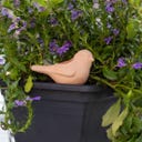 Esschert Design Bewässerungshilfe Vögel 4er-Set Terra - 1 Set