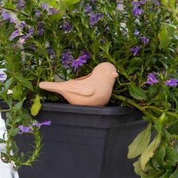 Esschert Design Bewässerungshilfe Vögel 4er-Set Terra - 1 Set