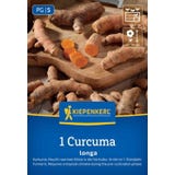 Kiepenkerl Kurkuma "Curcuma longa"