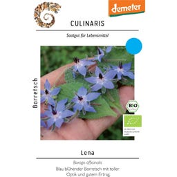 Culinaris Bio Borretsch blau