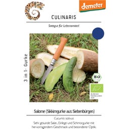 Culinaris Bio Gurke 