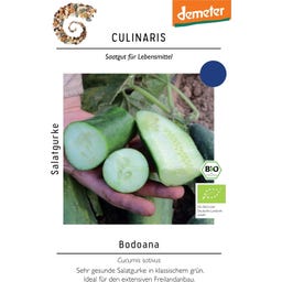 Culinaris Bio Salatgurke 