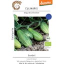 Culinaris Bio Salatgurke 