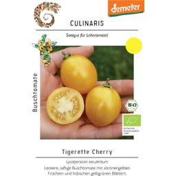 Culinaris Bio Buschtomate 