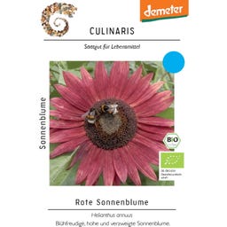 Culinaris Bio Rote Sonnenblume