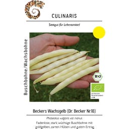 Culinaris Bio Buschbohne 