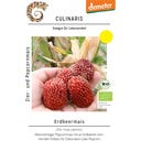 Culinaris Bio Erdbeermais