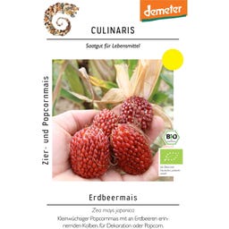 Culinaris Bio Erdbeermais