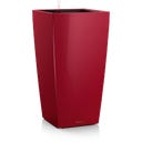 Lechuza Vaso - CUBICO Premium 30 - Rosso scarlatto lucido