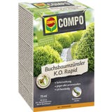 COMPO Buchsbaumz&uuml;nsler K.O. Rapid