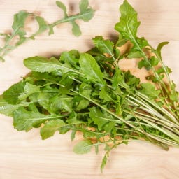 Kokopelli Bio Rucola (Salatrauke)