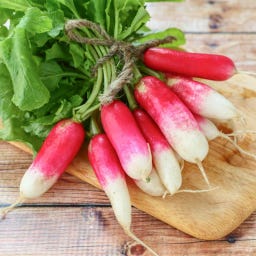 Kokopelli Bio Monatsrettich „Flamboyant“