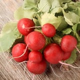 Kokopelli Bio Monatsrettich &bdquo;Rudi&ldquo;