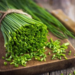 Kokopelli Bio Schnittlauch