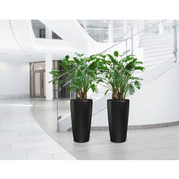 Lechuza Kvetináč Rondo Premium 32 - black matte