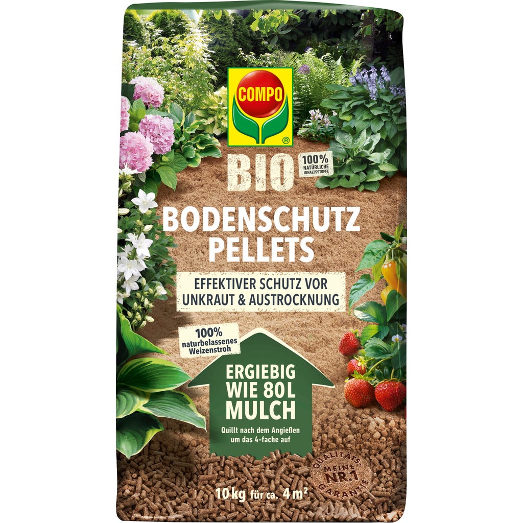 dinkel saatgut BIO Saatgut Getreide Winterdinkel – Biogartenladen