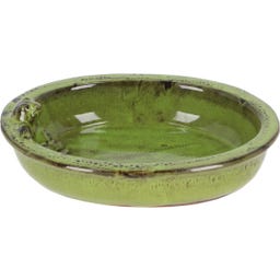 Esschert Design Bañera para Pájaros - Rana - Ovalada - 1 pieza