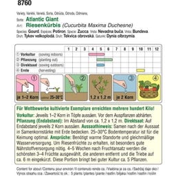 AUSTROSAAT Giant Pumpkin 