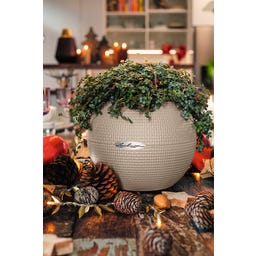 Lechuza Stolní květináč PURO Color 20 - 1