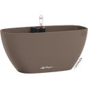 NAVIO Color 10, muškatni orešček rjava