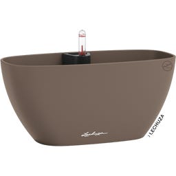 Lechuza NAVIO Color 10 - muškatni orešček rjava