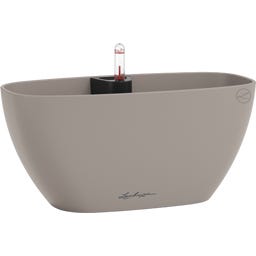 Lechuza NAVIO Color 10 - Marrón arena