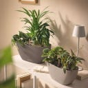 Lechuza NAVIO Color 20 - peščeno rjava