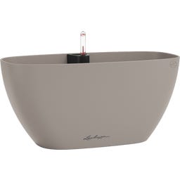 Lechuza NAVIO Color 20 - peščeno rjava