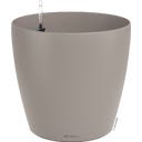 CLASSICO Color 50, sandbraun