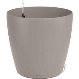 Lechuza CLASSICO Color 50 - sandbraun