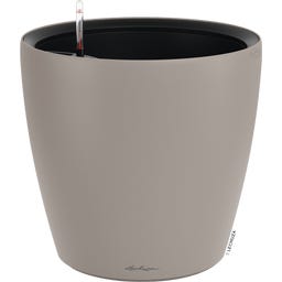 Lechuza CLASSICO Color LS 50 - Marrón arena