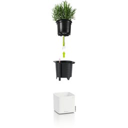 Lechuza CUBE 16 - vit matt