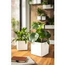 Lechuza CUBE 16 - vit matt