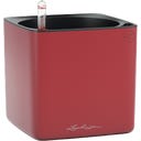 CUBE 16, rouge scarlet mat