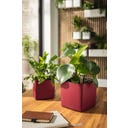 Lechuza CUBE 16 - rouge scarlet mat