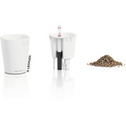 Lechuza DELTINI - Matte white