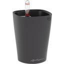 Lechuza MINI DELTINI - Gris basalto mate