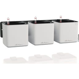 Lechuza CUBE Green Wall Home Kit - Bianco opaco
