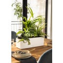 Lechuza CUBE Triple - matte white