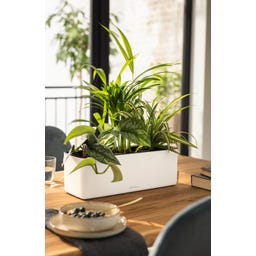 Lechuza CUBE Triple - matte white