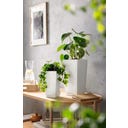 Lechuza MINI-CUBI - weiß matt