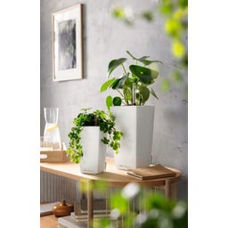 Lechuza MAXI-CUBI - matte white